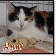 Anni