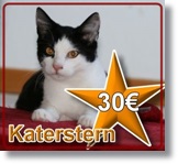 Katerstern