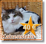 Katzenstern