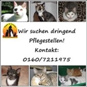 Pflegestellen gesucht